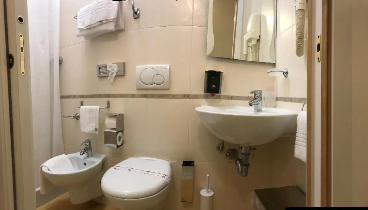 Hotel San Carlo Mestre 3*,